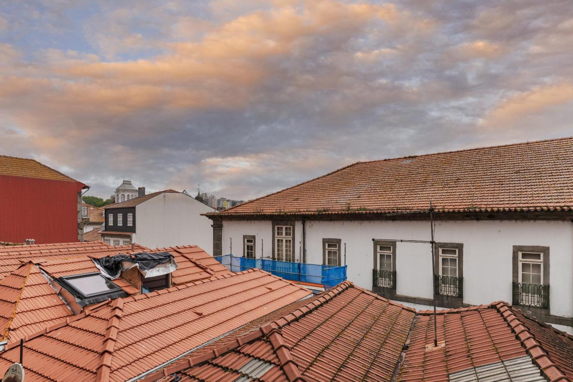 Insight - Belomonte Oporto